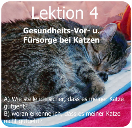 Katzengesundheit